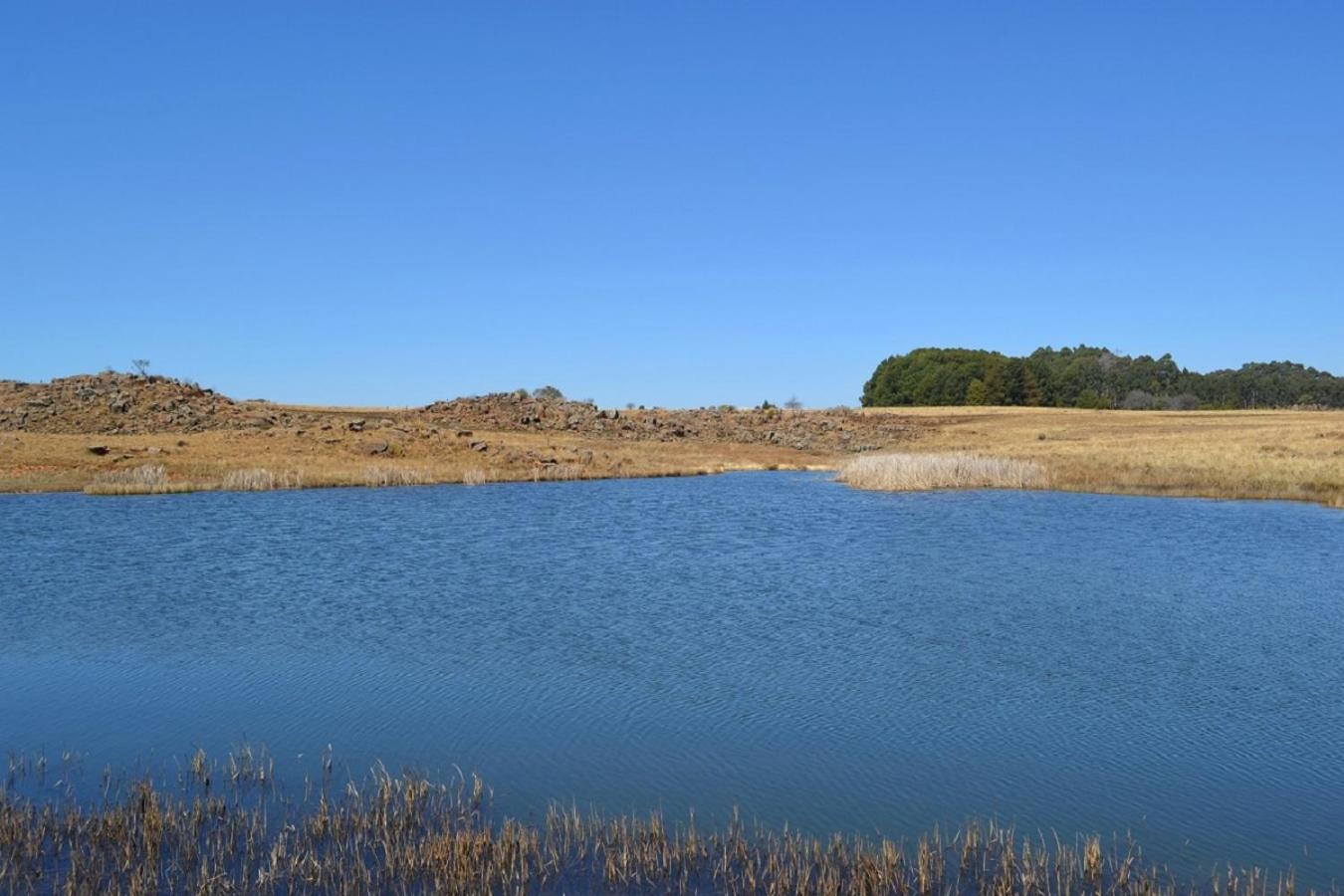 Appartamento Berryfields Dullstroom Esterno foto