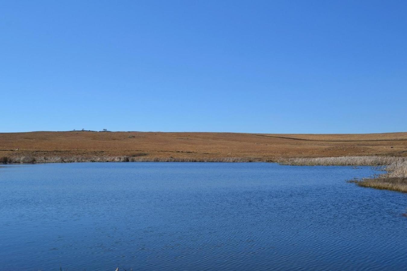 Appartamento Berryfields Dullstroom Esterno foto
